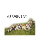動物とあそぼう！（個別スタンプ：26）