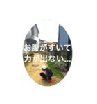 黒船のゆかいな仲間たち（個別スタンプ：13）