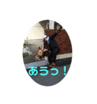 黒船のゆかいな仲間たち（個別スタンプ：14）