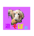 さくらちゃんのstamp（個別スタンプ：8）