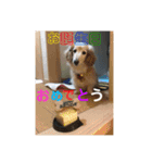 さくらちゃんのstamp（個別スタンプ：9）