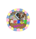 さくらちゃんのstamp（個別スタンプ：10）
