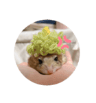 マカロニマウスのきなこ 第2弾（個別スタンプ：1）