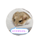 マカロニマウスのきなこ 第2弾（個別スタンプ：2）