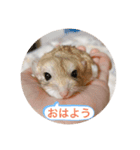 マカロニマウスのきなこ 第2弾（個別スタンプ：3）