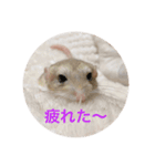 マカロニマウスのきなこ 第2弾（個別スタンプ：4）