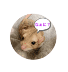 マカロニマウスのきなこ 第2弾（個別スタンプ：5）