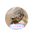 マカロニマウスのきなこ 第2弾（個別スタンプ：6）
