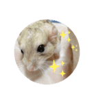 マカロニマウスのきなこ 第2弾（個別スタンプ：7）