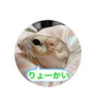 マカロニマウスのきなこ 第2弾（個別スタンプ：10）