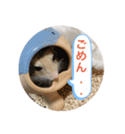 マカロニマウスのきなこ 第2弾（個別スタンプ：14）