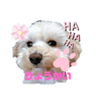 ふうたです…（個別スタンプ：11）