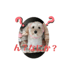 ふうたです…（個別スタンプ：12）