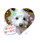 ふうたです…（個別スタンプ：13）