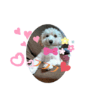 ふうたです…（個別スタンプ：16）