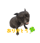 あず☆スタ（個別スタンプ：2）