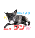 あず☆スタ（個別スタンプ：29）