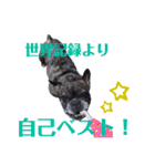 あず☆スタ（個別スタンプ：32）