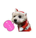 かわいいトイプー❤ 日常会話(関西弁)（個別スタンプ：18）