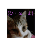 ฅ^._.^ ฅ（個別スタンプ：8）