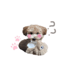 今日の僕だよ（個別スタンプ：3）