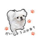 ペキニーズのハナマルヒナタロ（ハナマル）（個別スタンプ：25）