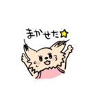 チワワのあいるとトイプーのかでん（個別スタンプ：14）