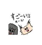 チワワのあいるとトイプーのかでん（個別スタンプ：16）