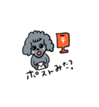 チワワのあいるとトイプーのかでん（個別スタンプ：18）