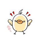 ぴよ彦（個別スタンプ：10）