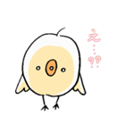 ぴよ彦（個別スタンプ：13）