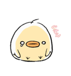ぴよ彦（個別スタンプ：15）