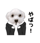 白い犬学生とダジャレ（個別スタンプ：14）