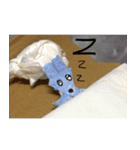 AOSAKI 動物スタンプ（個別スタンプ：6）