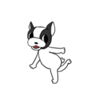 フレンチブルドッグ リクソラ（個別スタンプ：1）