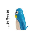 やべぇペンギン（個別スタンプ：20）