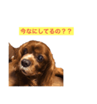鈴木さんちのちっぷのスタンプ（個別スタンプ：4）
