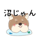 オタクな柴犬（個別スタンプ：3）