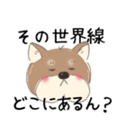 オタクな柴犬（個別スタンプ：5）