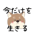 オタクな柴犬（個別スタンプ：9）
