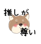 オタクな柴犬（個別スタンプ：12）