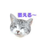 つぶにゃー（個別スタンプ：2）