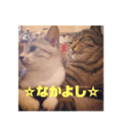 つぶにゃー（個別スタンプ：3）