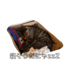 つぶにゃー（個別スタンプ：5）