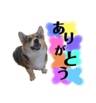 ジョイアスくんの日常（個別スタンプ：1）