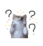 ジョイアスくんの日常（個別スタンプ：9）