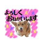 ジョイアスくんの日常（個別スタンプ：19）