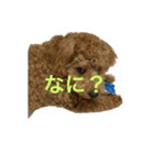 モコの素晴らしいスタンプ（個別スタンプ：3）
