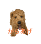 モコの素晴らしいスタンプ（個別スタンプ：6）