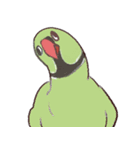 鳥鳥鳥鳥鳥2（個別スタンプ：3）